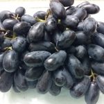 grapes-black-01