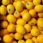 Seedless Lemon (Meyer var.) (Per 6 Pieces) - Image 1