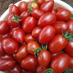 plum cherry tomatoes