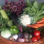 GroAxo Basic Veggies Basket (Large) - Image 1