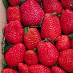 Strawberries premium a