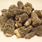 Morels - J&Ks Mushrooms (Per 100 g) - Image 1